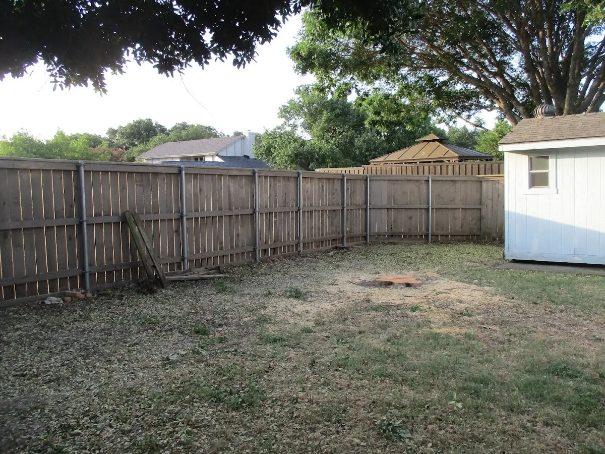 Cleared yard after professional tree removal in Royalton